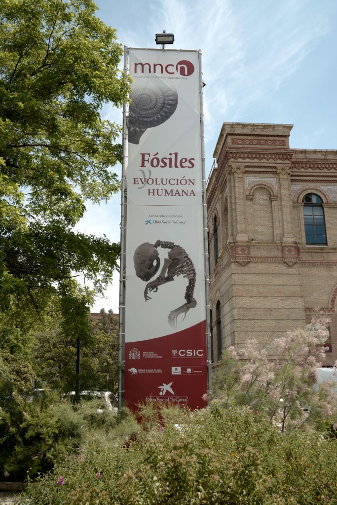 Cartelería exposición Fósiles y evolución humana. Museo de Ciencias Naturales Madrid