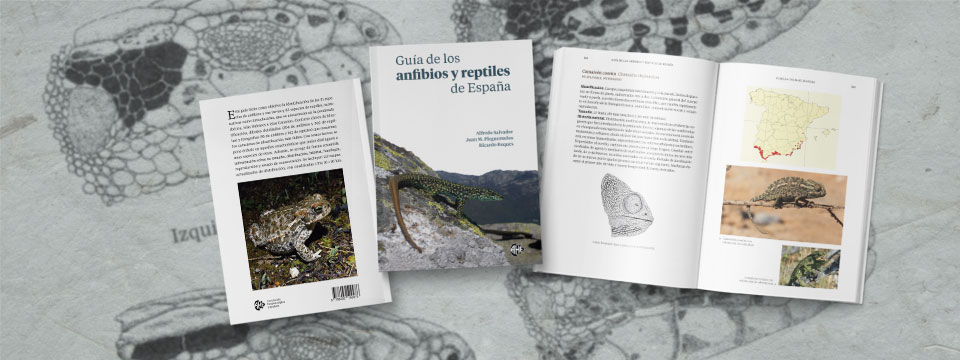 Guía de los anfibios y reptiles de España